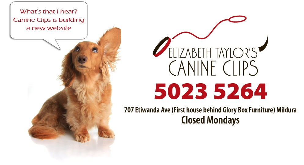 elizabeth taylors canine clips